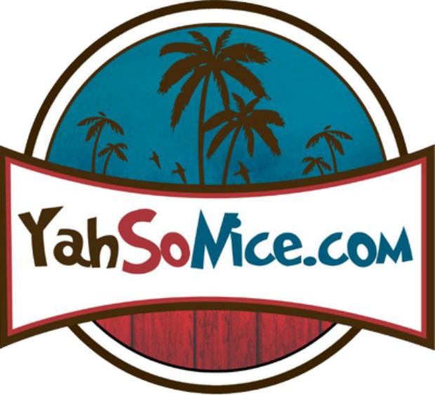 yahsonice logo